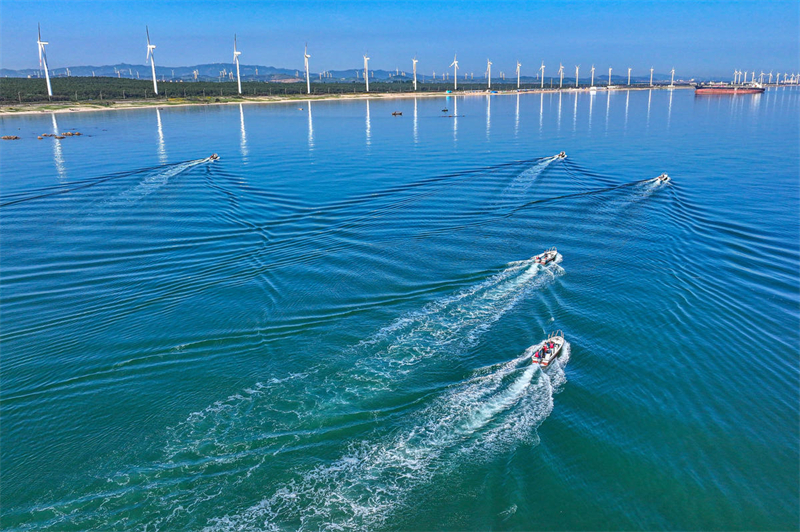 Shandong : la pleine saison de la pêche des holoturies sauvages a commencé à Rongcheng