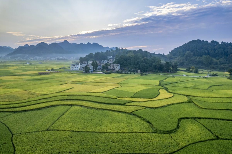 Guizhou : les magnifiques paysages pastoraux de Shibing au début de l'automne