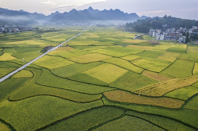 Guizhou : les magnifiques paysages pastoraux de Shibing au début de l'automne