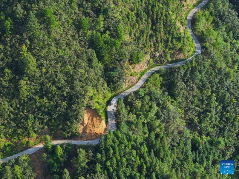 Guangxi/Guizhou?: un père et son fils témoins du développement d'un village de montagne Miao