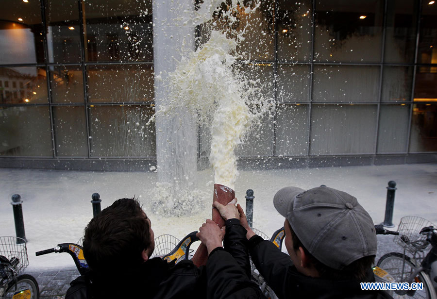 "Tracteurs à Bruxelles" contre la baisse des prix du lait (2)