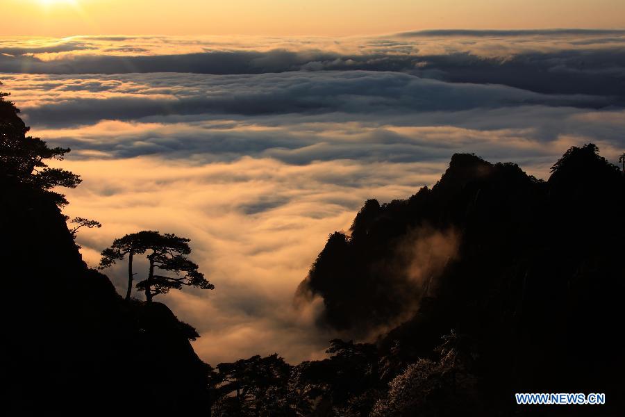 Photos: paysages de la mer de nuages des monts Huang (3)