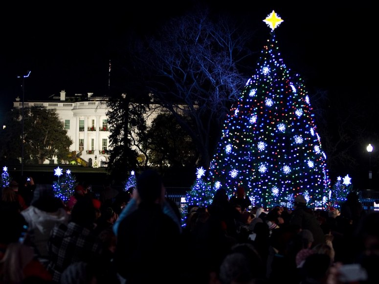 L'arbre de No?l national à Washington