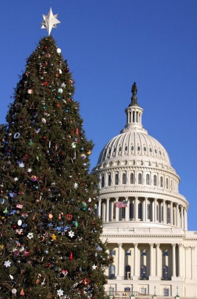 L'arbre de No?l devant le Capitole à Washington