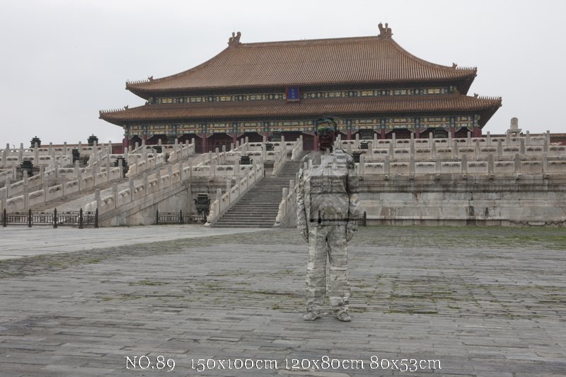 Liu Bolin, un expert chinois du camouflage (7)