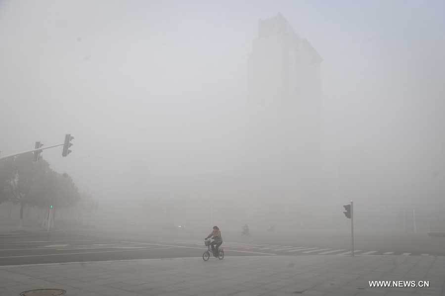 Photo prise le 24 février au Zhejiang