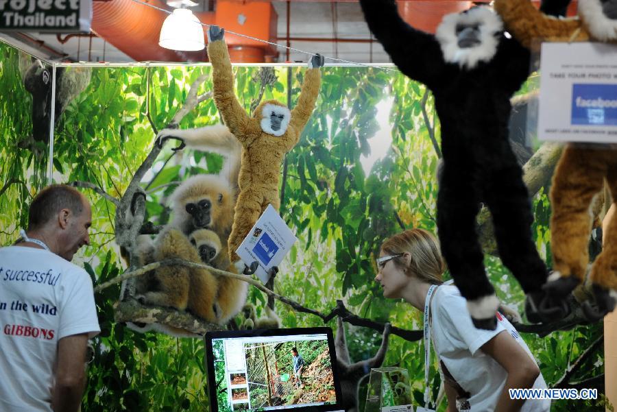 Des employés préparent une exposition de photos pour la 16ème séance de la Convention sur le commerce International des espèces de faune et de flore sauvages menacées d'extinction (CITES), à Bangkok, en Tha?lande, le 4 mars 2013. La CITES aura lieu du 3 jusqu'au 14 mars à Bangkok avec la participation des défenseurs de l'environnement venant de quelque 180 pays et régions. (Xinhua/Gao 