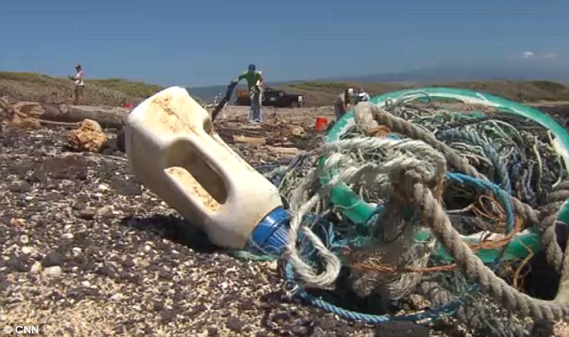 Les déchets du séisme japonais flottent à Hawaii