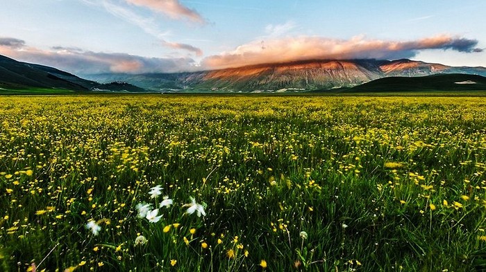 Des paysages magnifiques des campagnes italiennes et fran?aises (4)