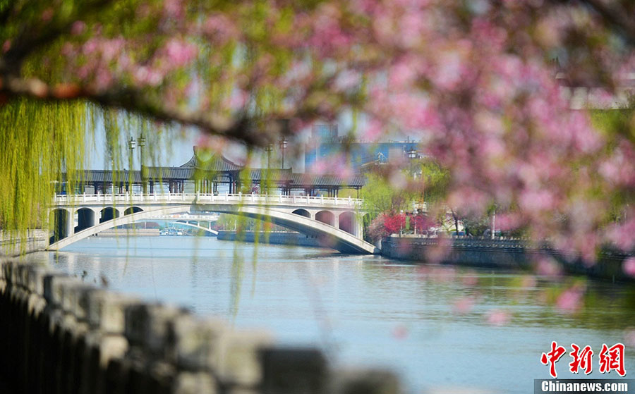 Photo prise le 2 avril montrant de beaux paysages du printemps à Yangzhou, dans la province du Jiangsu (est de la Chine)