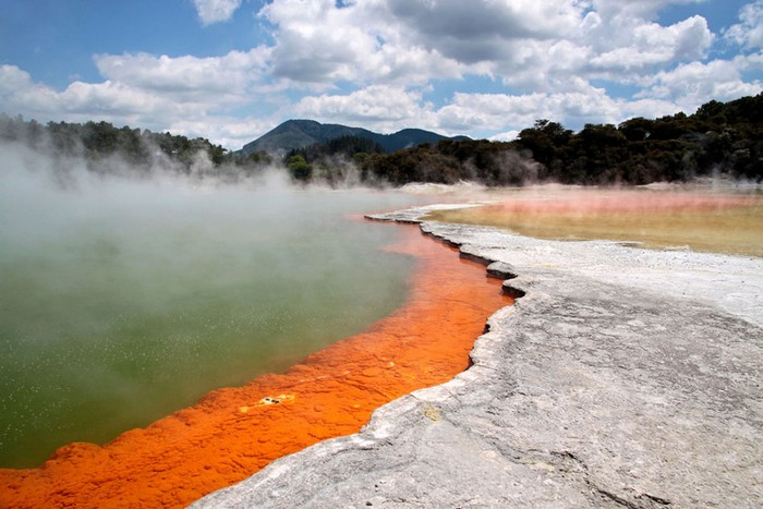 Champagne Pool 