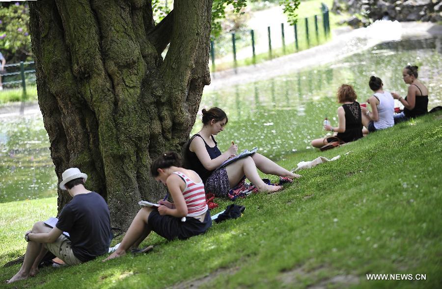 Les étudiants étudient dans un parc près de l'Université catholique de Louvain, à Louvain, en Belgique, le 18 juin 2013.La température a atteint 31°C, la plus haute depuis cette année, suivi d'un hiver et printemps aussi froid et humide. (Xinhua/Ye Pingfan)