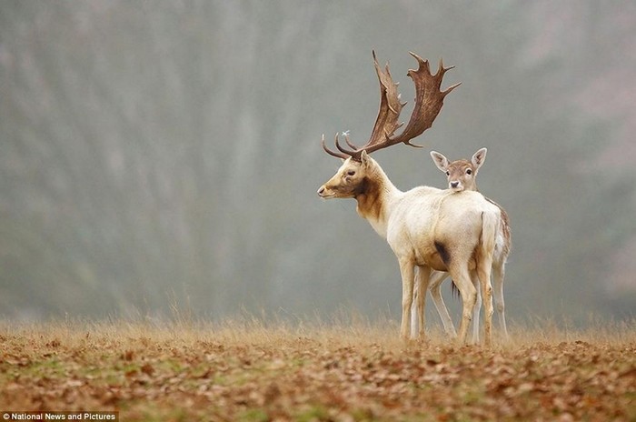 La beauté et le caractère farouche de la nature (18)