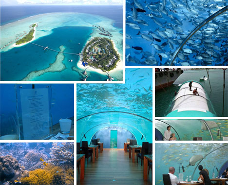 Ithaa, MaldivesAu fond des eaux transparentes de ce lagon des Maldives, le Ithaa Undersea est un restaurant unique au monde. Plongé à 5 mètres de profondeur, il offre une vue panoramique sur l'ensemble de la vie sous-marine du lagon.