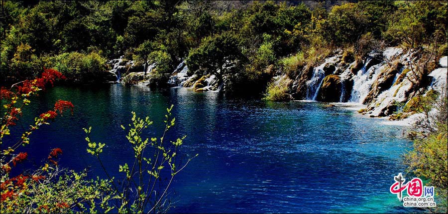 Le paysage multicolore de Jiuzhaigou en plein été