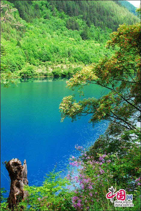 Le paysage multicolore de Jiuzhaigou en plein été (5)