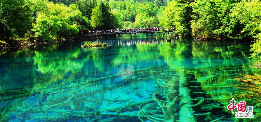 Le paysage multicolore de Jiuzhaigou en plein été (3)