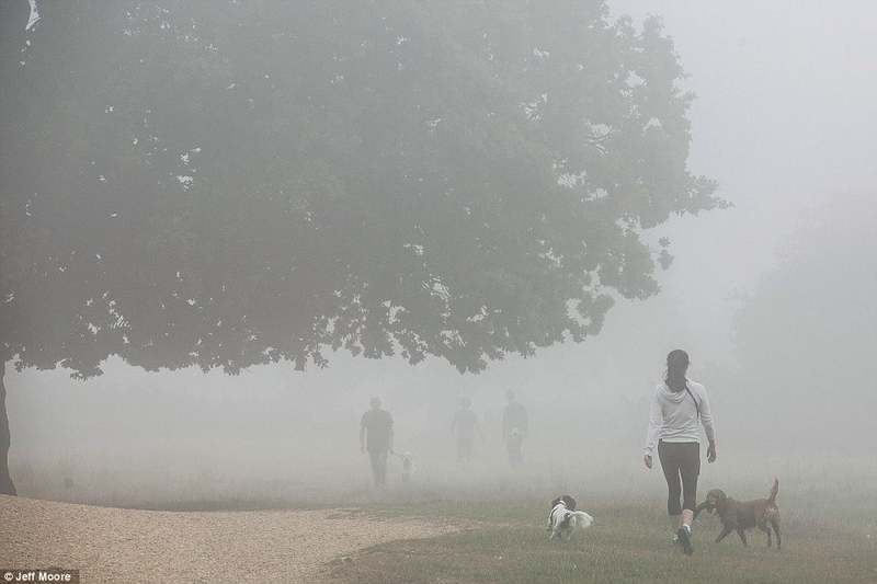 100 voitures prises dans un carambolage géant d? au brouillard en Grande-Bretagne (20)