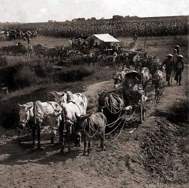 La Chine en 1900 sous l'objectif d'un photographe allemand.