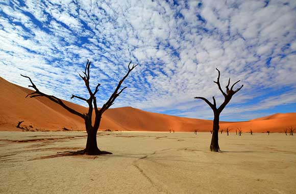 Dead Vlei, Namibie