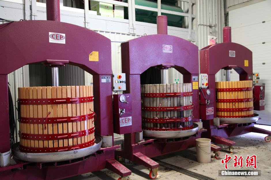 Découvrez l'usine de fabrication du vin de glace (7)