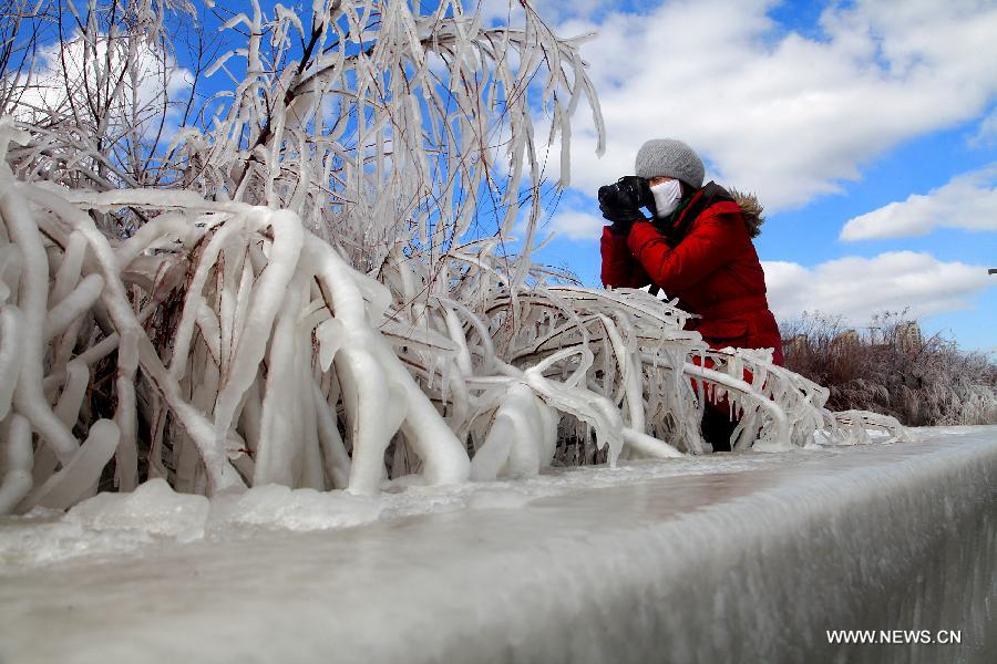 Alerte aux glaces de mer dans le nord-est de la Chine (3)