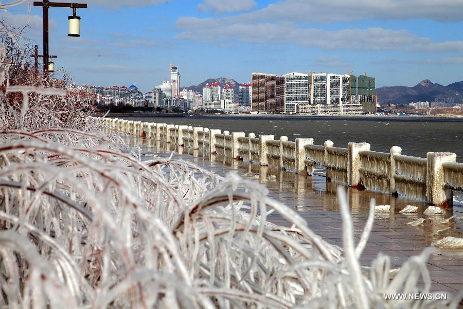 Alerte aux glaces de mer dans le nord-est de la Chine (4)